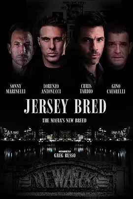 帮派风云封面图