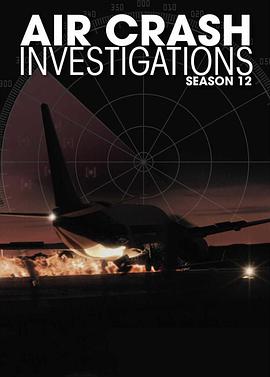 空中浩劫第十二季封面图